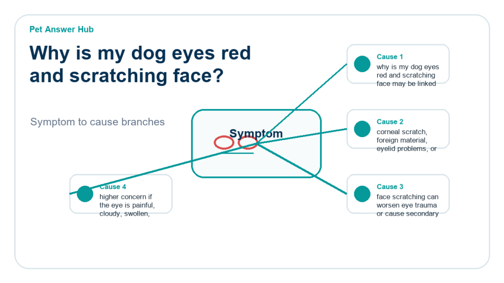 why is my dog eyes red and scratching face diagnostic cause diagram
