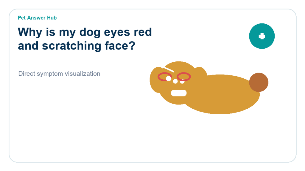 why is my dog eyes red and scratching face dog symptom state visual