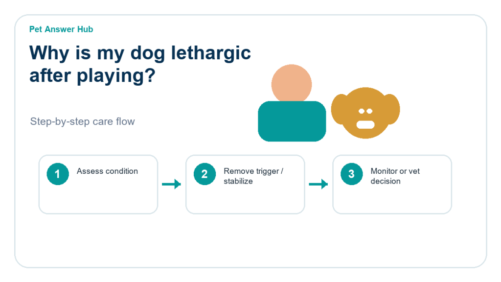 why is my dog lethargic after playing dog care action flow