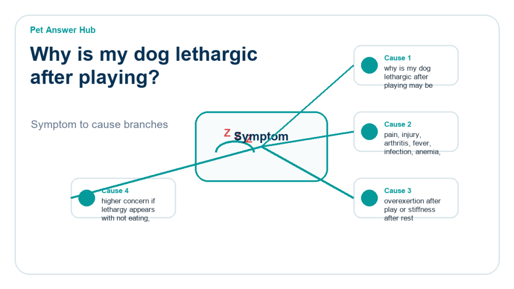 why is my dog lethargic after playing diagnostic cause diagram