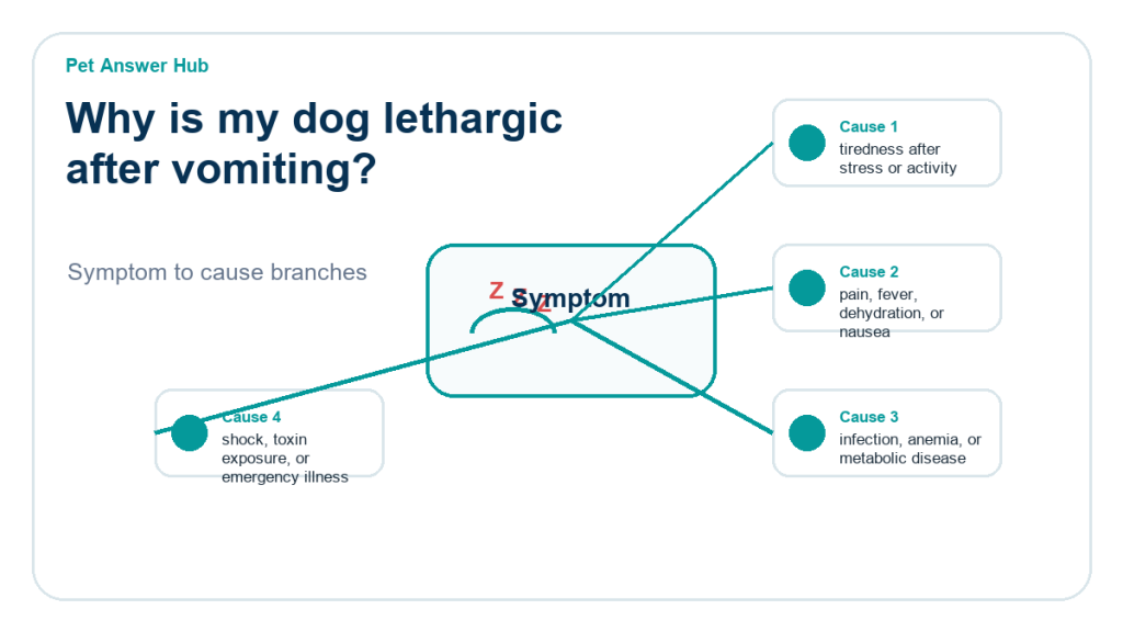 why is my dog lethargic after vomiting diagnostic cause diagram