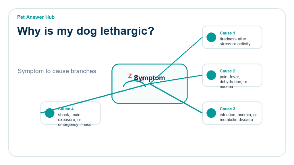 why is my dog lethargic diagnostic cause diagram