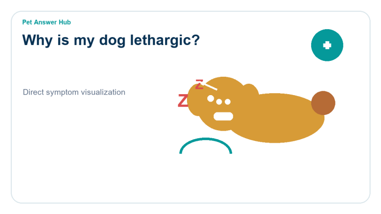 why is my dog lethargic symptom state visual