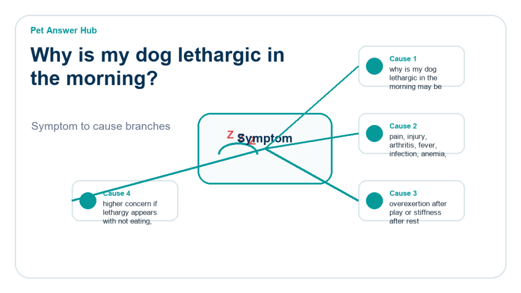 why is my dog lethargic in the morning diagnostic cause diagram