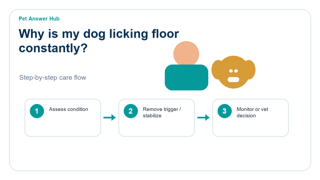 why is my dog licking floor constantly dog care action flow