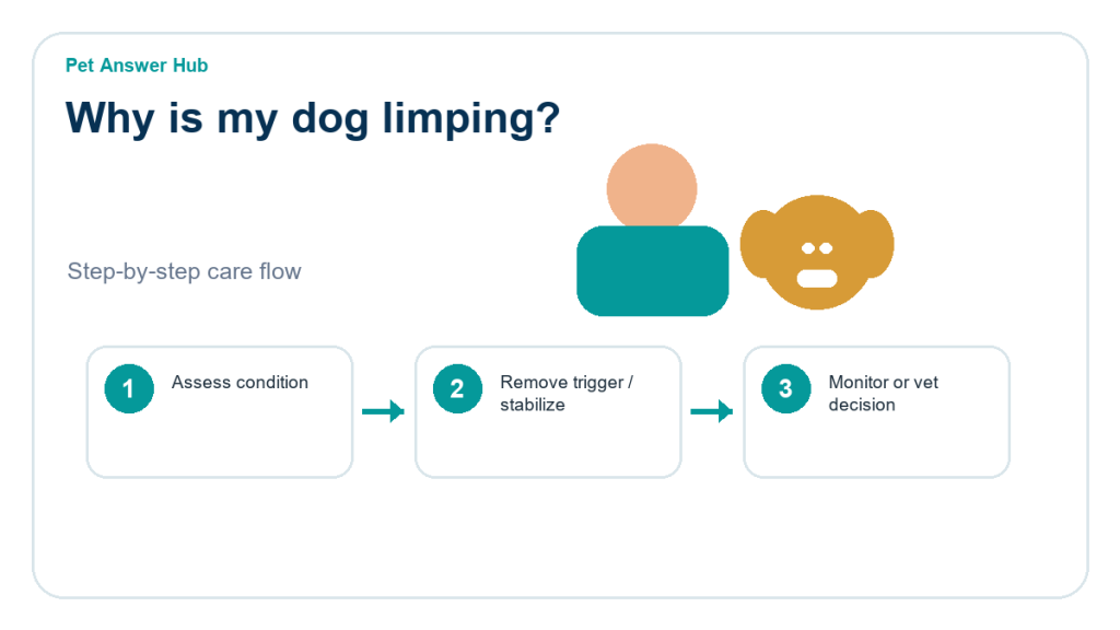 why is my dog limping triage action flow