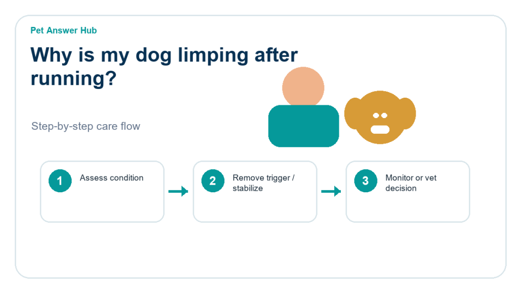 why is my dog limping after running triage action flow