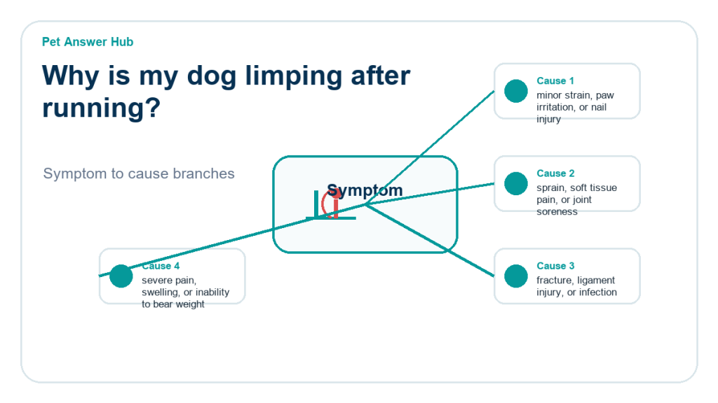 why is my dog limping after running diagnostic cause diagram