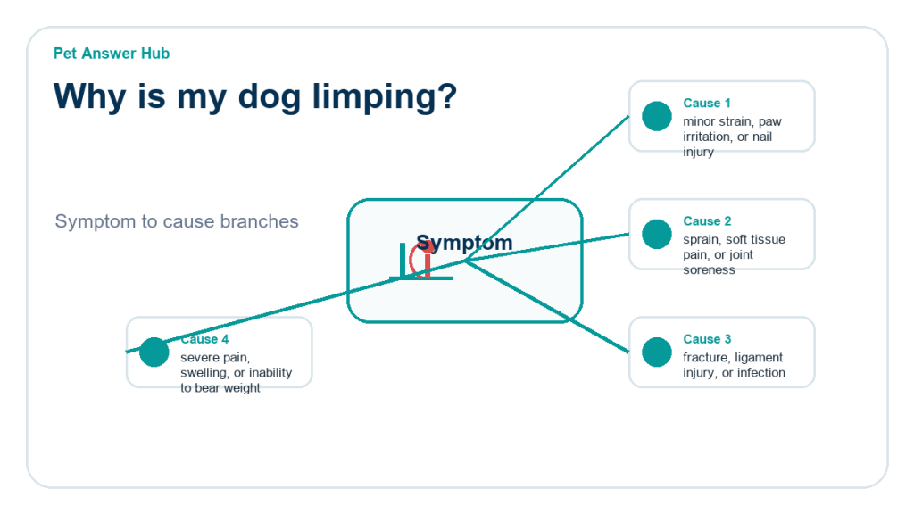 why is my dog limping diagnostic cause diagram