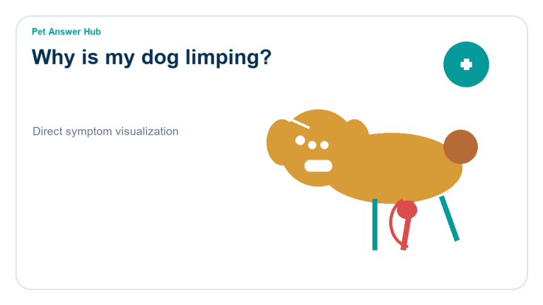 why is my dog limping symptom state visual