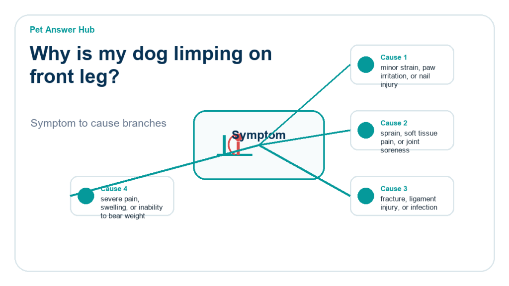 why is my dog limping on front leg diagnostic cause diagram