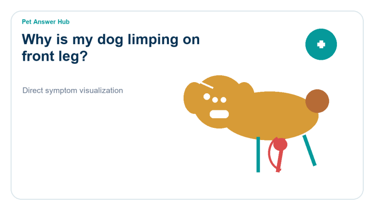 why is my dog limping on front leg symptom state visual