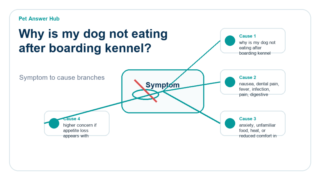 why is my dog not eating after boarding kennel diagnostic cause diagram