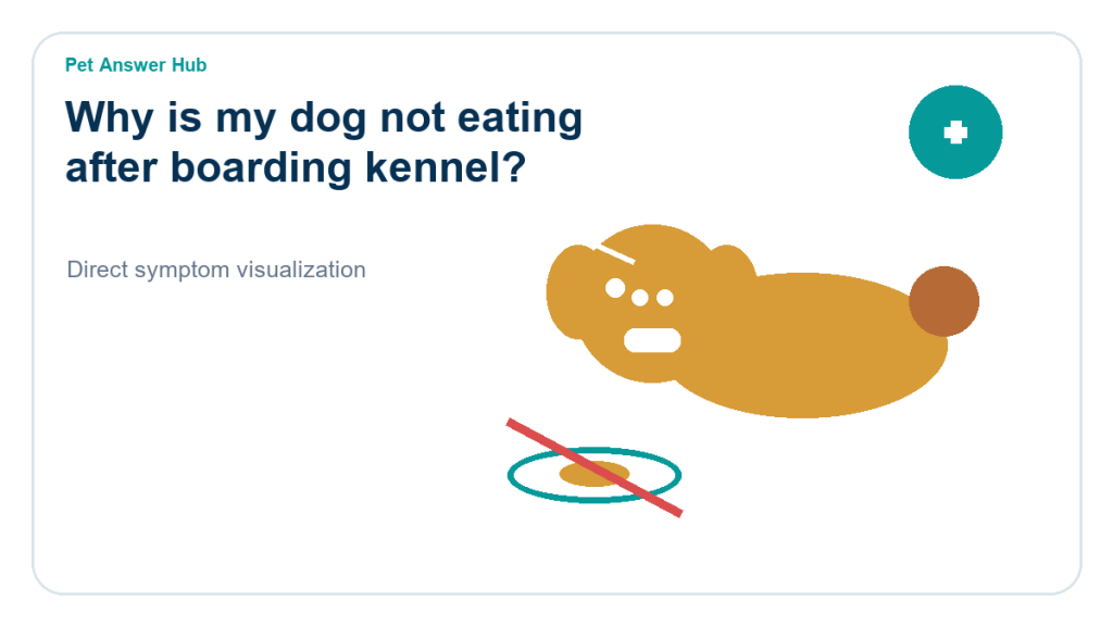why is my dog not eating after boarding kennel dog symptom state visual