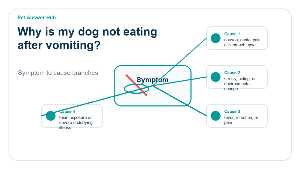 why is my dog not eating after vomiting diagnostic cause diagram