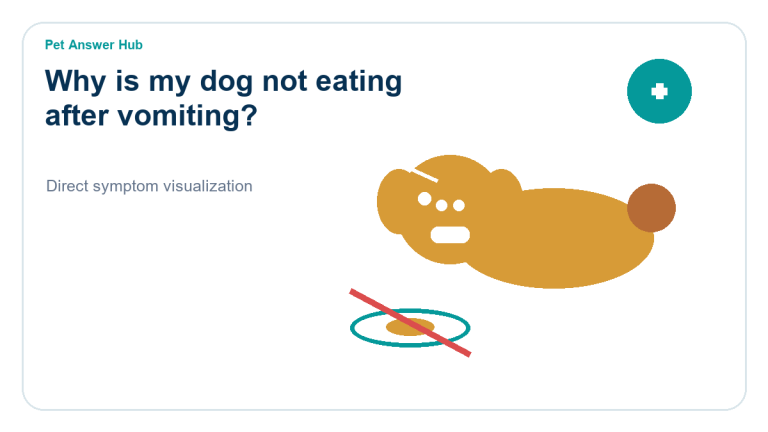 why is my dog not eating after vomiting symptom state visual