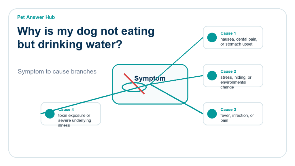 why is my dog not eating but drinking water diagnostic cause diagram