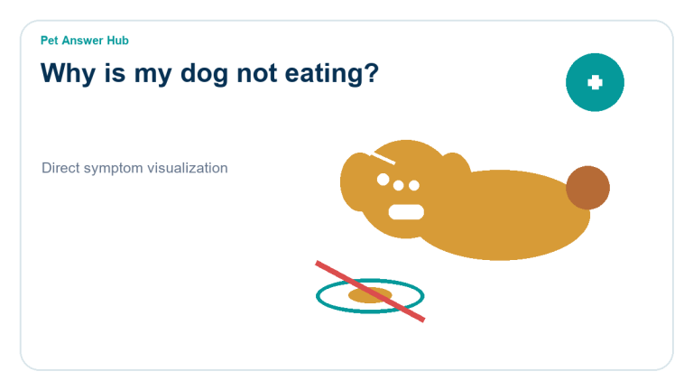 why is my dog not eating symptom visualization