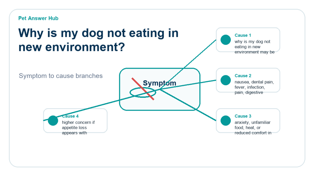 why is my dog not eating in new environment diagnostic cause diagram