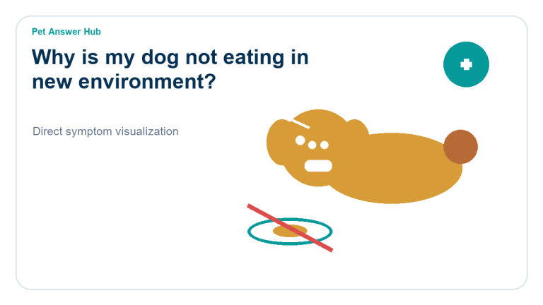 why is my dog not eating in new environment dog symptom state visual