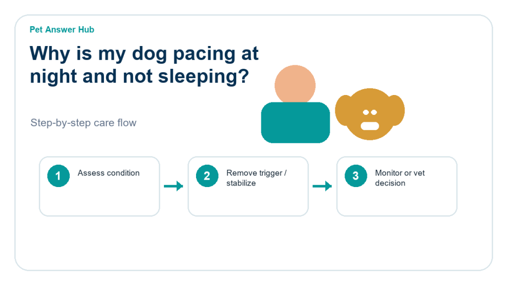 why is my dog pacing at night and not sleeping dog care action flow
