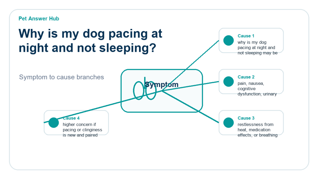 why is my dog pacing at night and not sleeping diagnostic cause diagram
