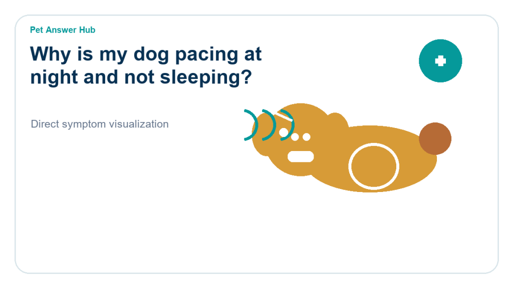 why is my dog pacing at night and not sleeping dog symptom state visual