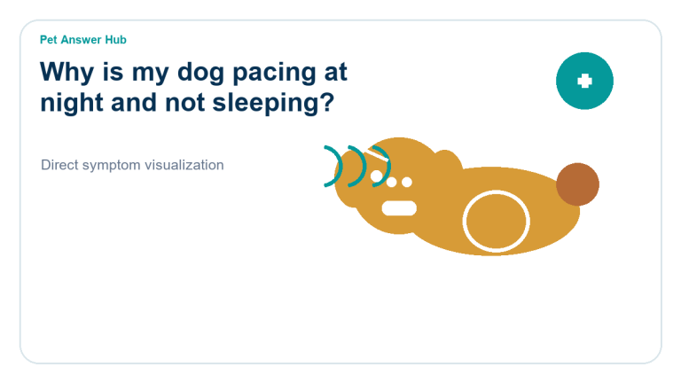 why is my dog pacing at night and not sleeping dog symptom state visual