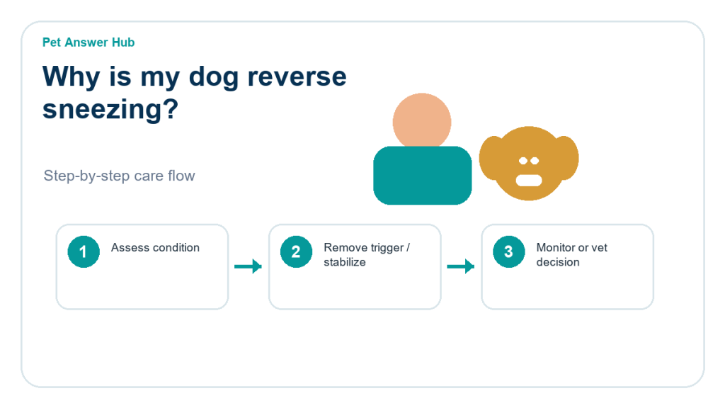 why is my dog reverse sneezing triage action flow