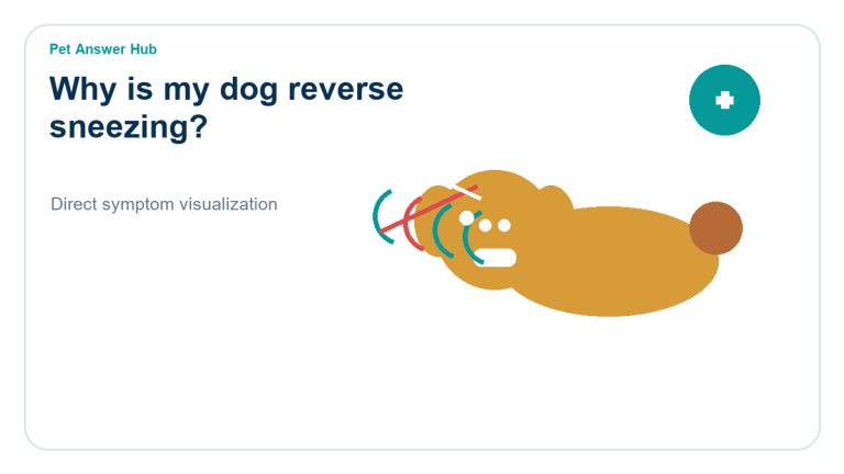 why is my dog reverse sneezing symptom state visual