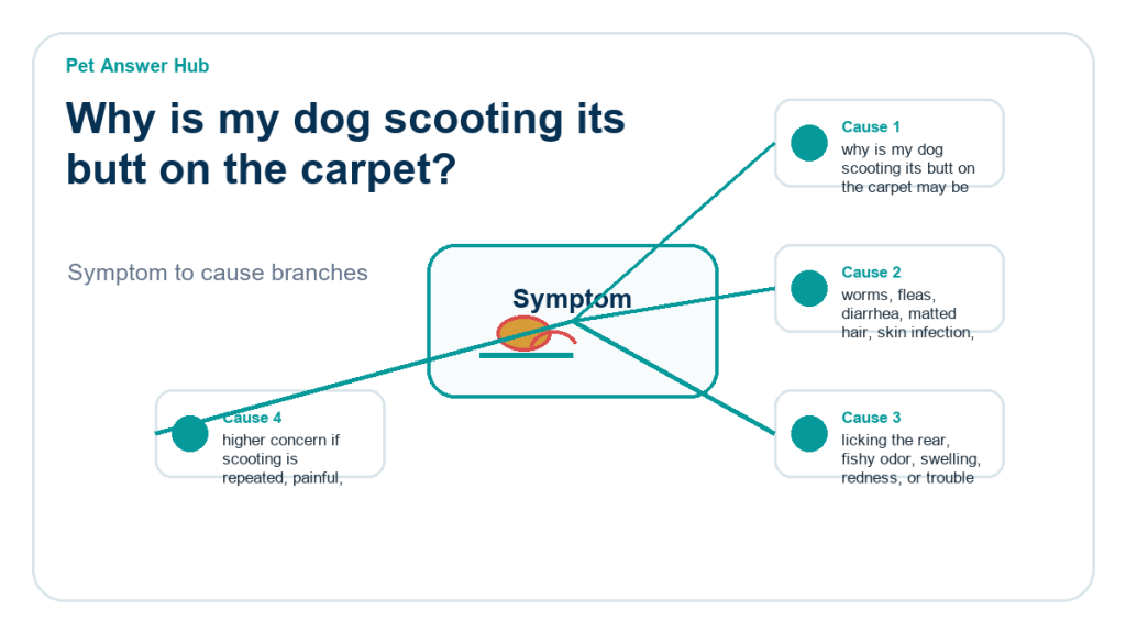 why is my dog scooting its butt on the carpet diagnostic cause diagram