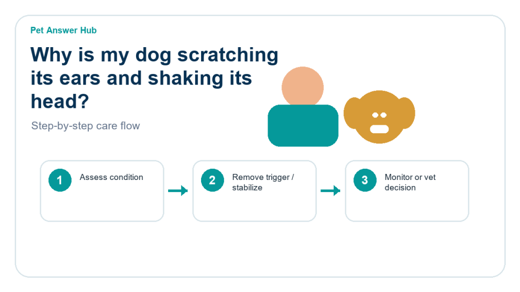 why is my dog scratching its ears and shaking its head triage action flow