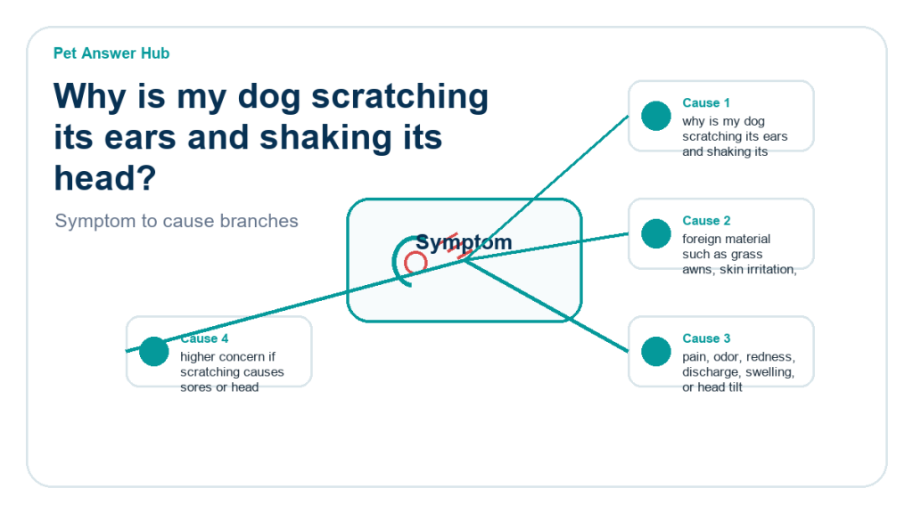 why is my dog scratching its ears and shaking its head diagnostic cause diagram