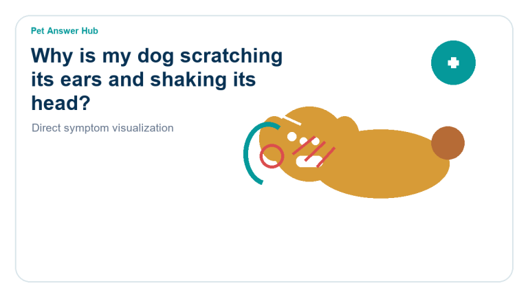 why is my dog scratching its ears and shaking its head symptom state visual