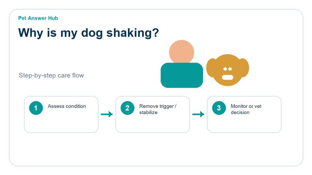 why is my dog shaking triage action flow