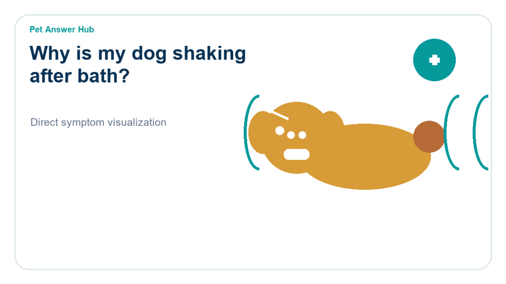 why is my dog shaking after bath dog symptom state visual