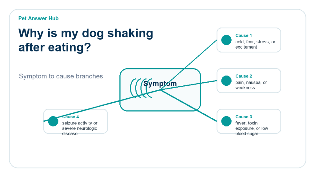 why is my dog shaking after eating diagnostic cause diagram
