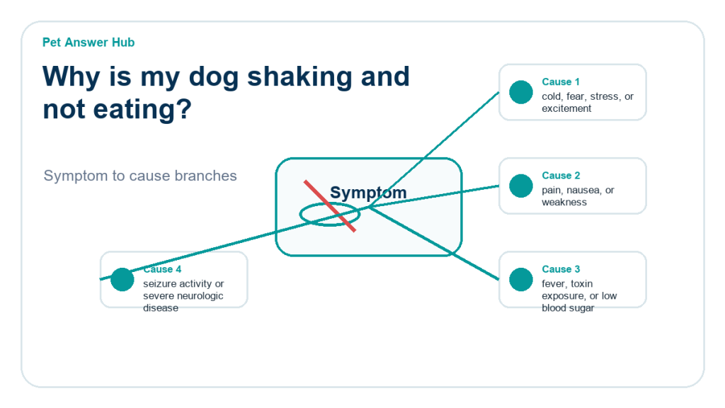 why is my dog shaking and not eating diagnostic cause diagram