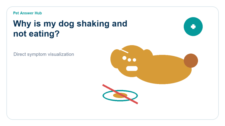 why is my dog shaking and not eating symptom state visual