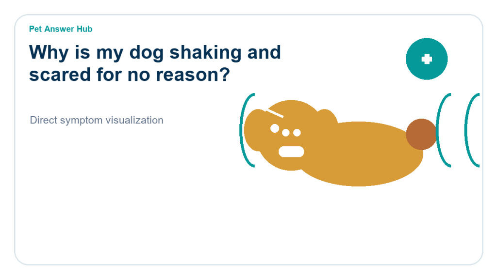 why is my dog shaking and scared for no reason dog behavior visual
