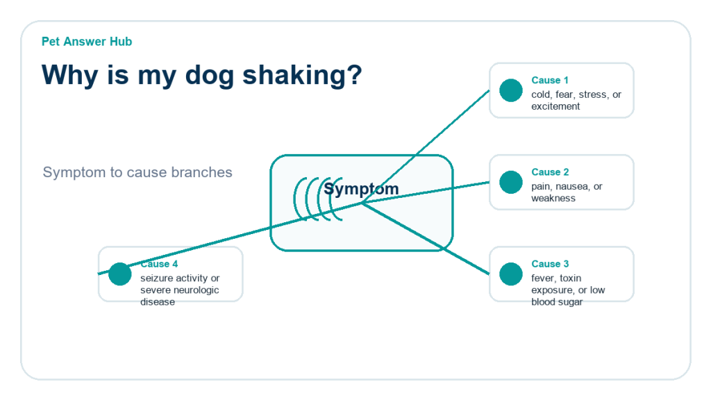 why is my dog shaking diagnostic cause diagram