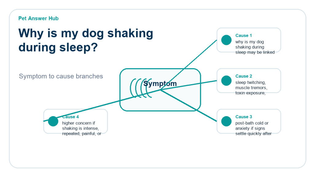 why is my dog shaking during sleep diagnostic cause diagram