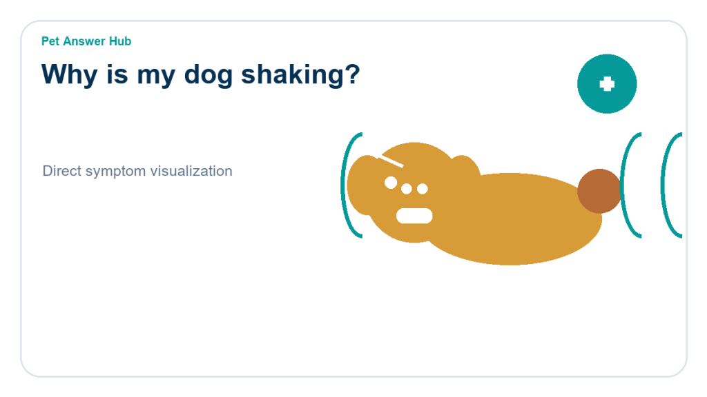 why is my dog shaking symptom state visual