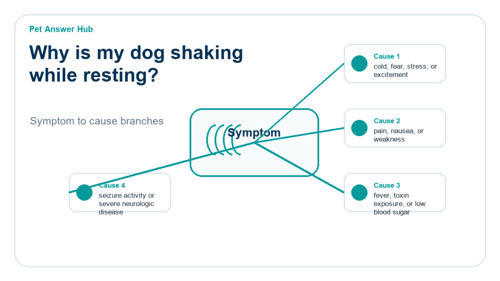 why is my dog shaking while resting diagnostic cause diagram