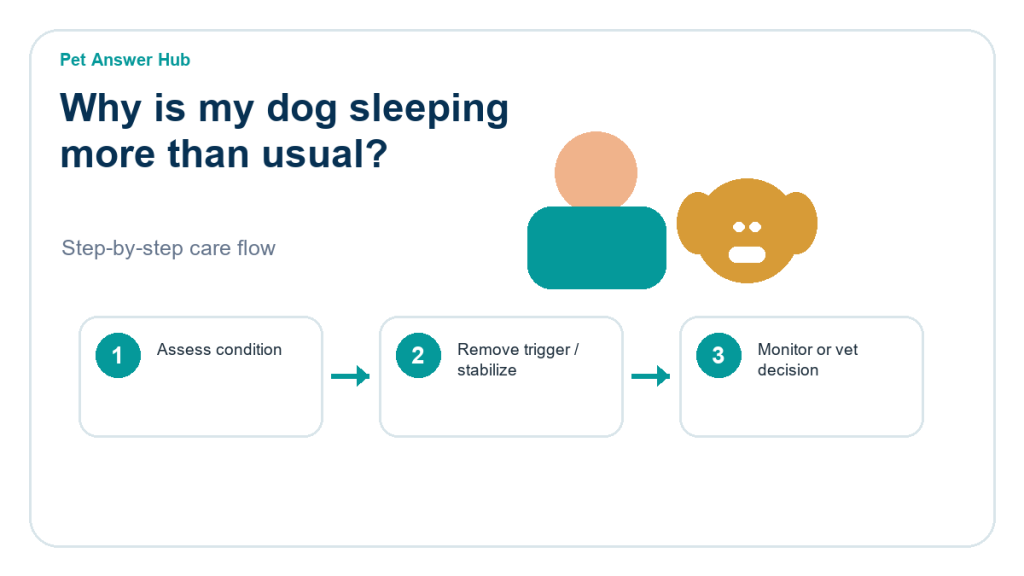 why is my dog sleeping more than usual care action flow