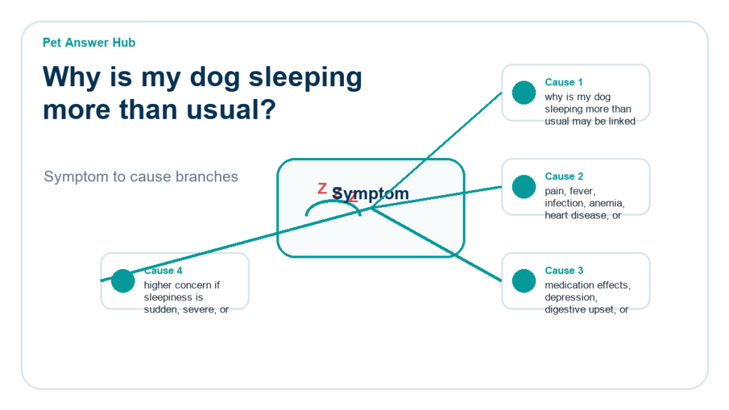 why is my dog sleeping more than usual behavior cause diagram