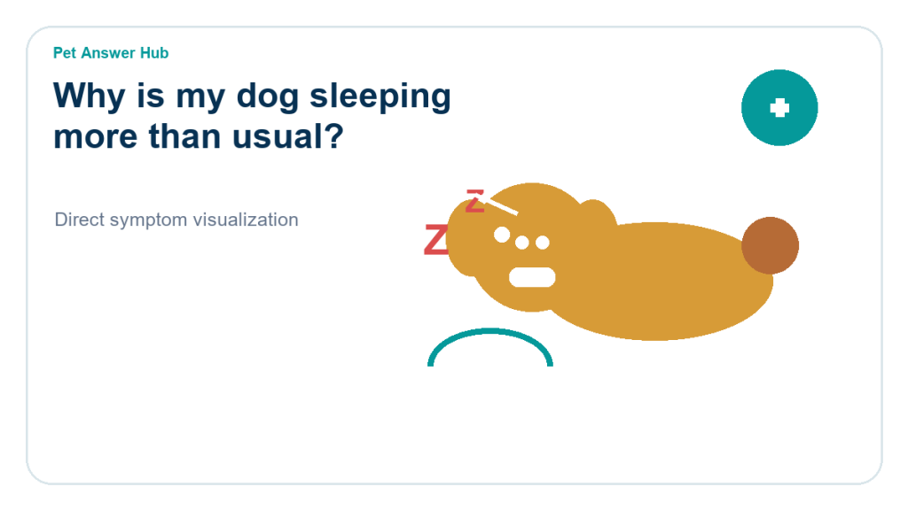 why is my dog sleeping more than usual dog behavior visual