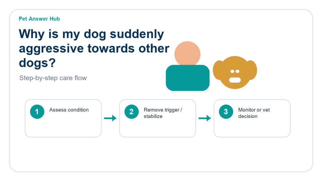 why is my dog suddenly aggressive towards other dogs care action flow