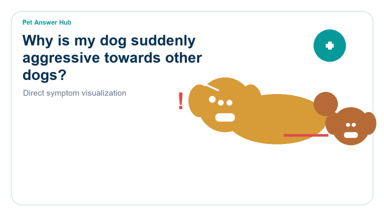 why is my dog suddenly aggressive towards other dogs dog behavior visual