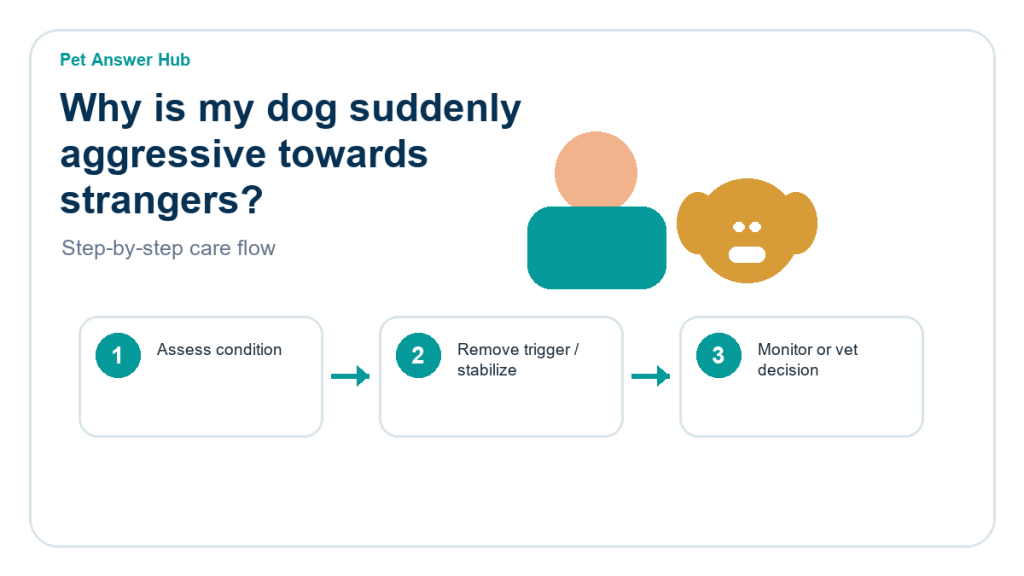 why is my dog suddenly aggressive towards strangers care action flow